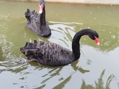 -南戴河国际娱乐中心