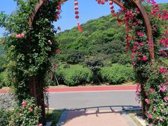 -龙寺生态园