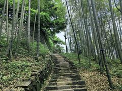 -莫干山风景区