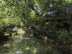 -富斯特索道