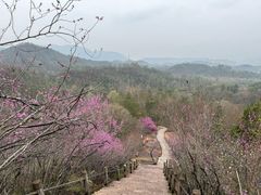-天台山赤城山景区