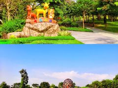 -佛冈森波拉度假区