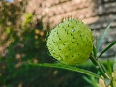 -广州神农草堂中医药博物馆