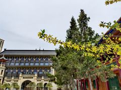 -东关清真大寺