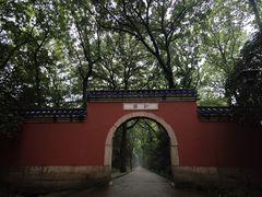 -灵谷景区