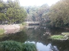 -叶家花园