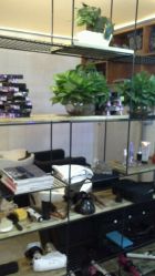 -MG Style Salon