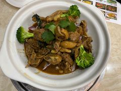 -墨脱石锅椰子鸡•香草鸭•东山羊(大东海店)