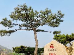 -徂徕山森林康养度假谷温泉