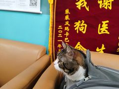 -瑞派雷欧宠物医院·中兽医·眼科·急重症转诊中心(黄台店)
