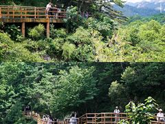 -崂山九水游览区