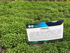 -长春农业博览园