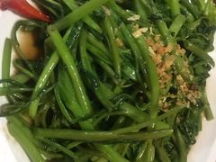 -Jungle Kitchen