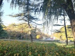 -康庄公园