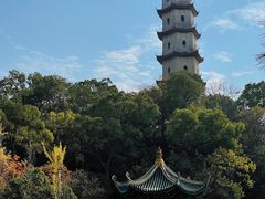 -江心屿景区