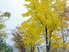 -浙西天池景区