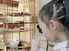 -Plush大堂酒廊(北京金融街威斯汀大酒店)