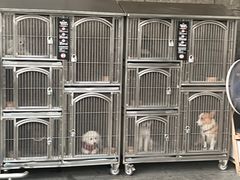 -胖东来生活广场(健康路店)
