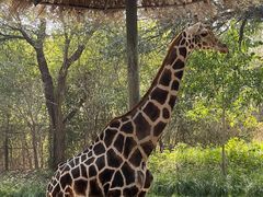 -北京野生动物园