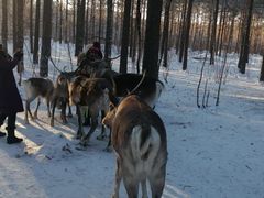 -北极村旅游风景区