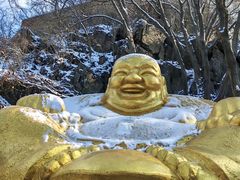 -紫金山山顶公园