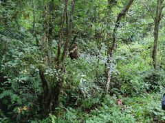 -西岭雪山大飞水景区