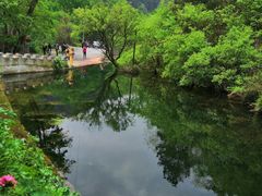 -木兰云雾山