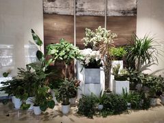 -博雅酒店-中餐厅