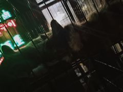 -大叔烤肉(华英路店)