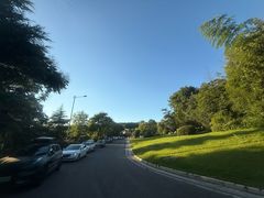 -铁山坪森林公园