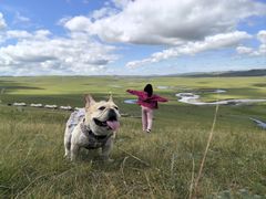 -莫尔道嘎国家森林公园