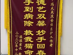 -中农国际动物医院24小时·猫科·骨科·急重症中心