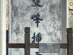 -杭州植物园
