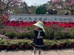 -广东茂名森林公园