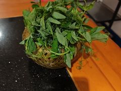 -老版火锅.12年西安排队王(沣峪口店)