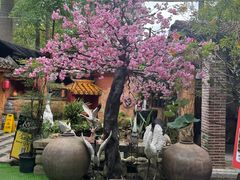-园林美食城·本土农家菜(杨和镇店)