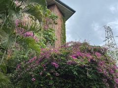 -深圳隐秀山居酒店