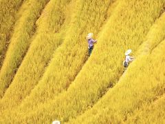 -龙脊梯田