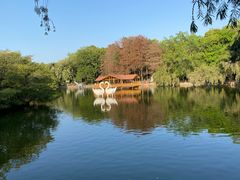 -深圳野生动物园