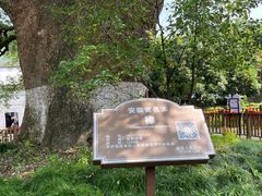 -新安江山水画廊风景区