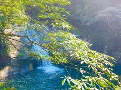 -大鄣山卧龙谷景区
