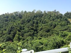 -火炉山森林公园