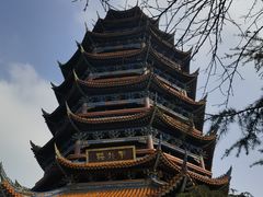 -铁山坪森林公园