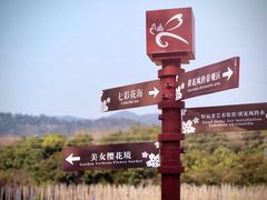 -天适樱花悠乐园