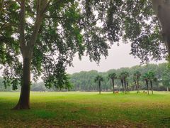 -河南省黄河迎宾馆