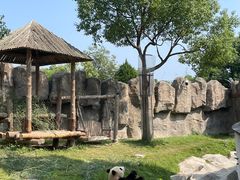 -上海野生动物园