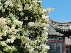-常熟方塔园