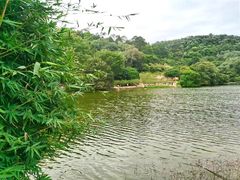 -南国桃园旅游度假区