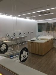 -海豚湾高端月子会所(黄浦店)