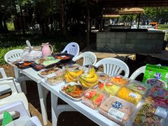 -上海长兴岛郊野公园